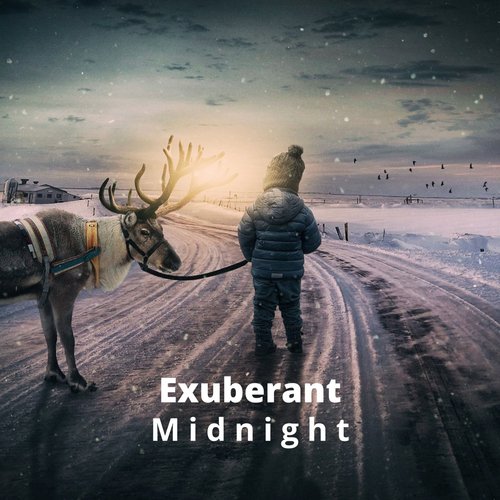 Exuberant Midnight