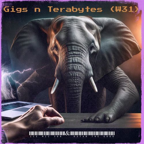 Gigs n Terabytes (W31) cover art