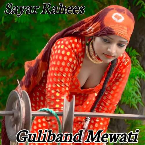 Guliband Mewati