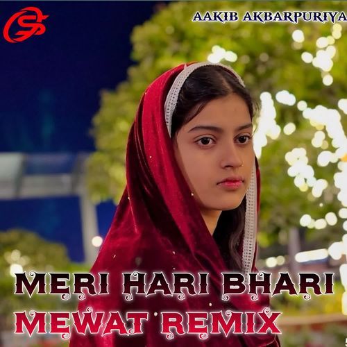 MERI HARI BHARI MEWAT (REMIX)