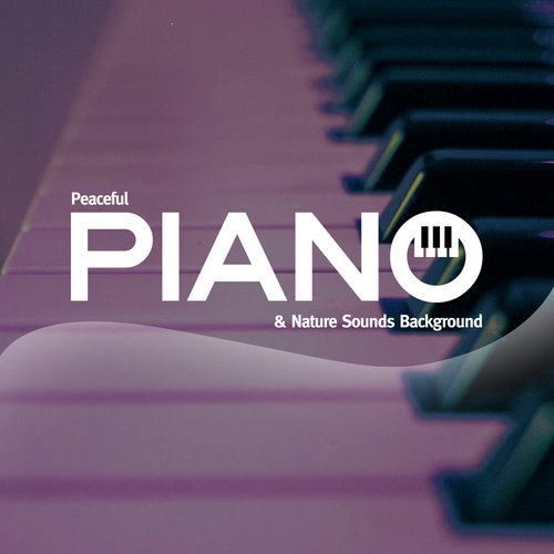 Piano Symphony Orchestra cover art