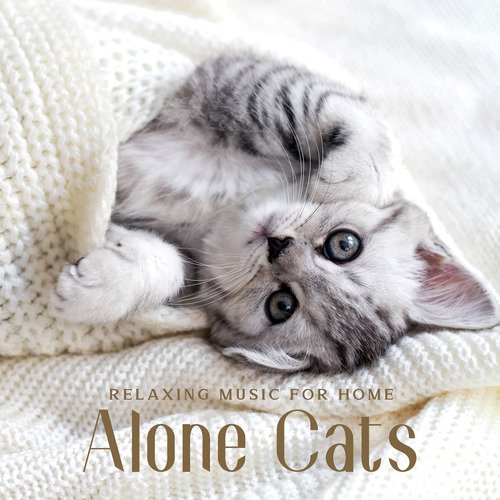 Cat Music Therapy cover art
