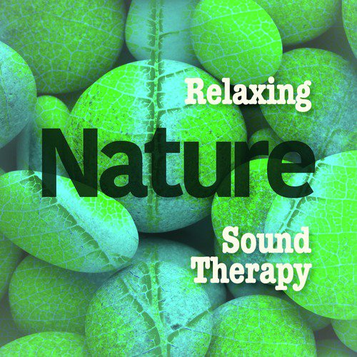 Relaxing Nature Sound Therapy