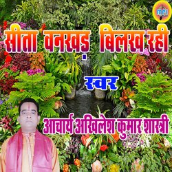 Seeta Vankhad Bilakh Rahi