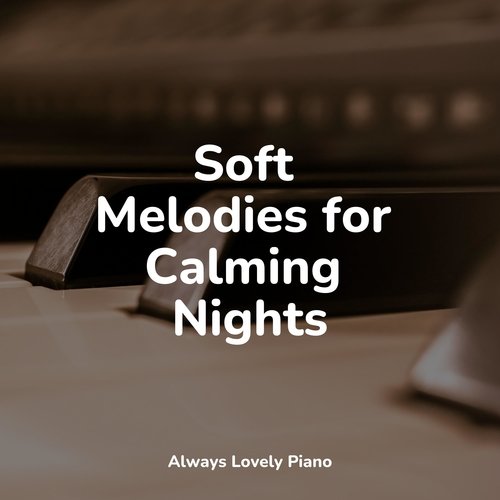 Soft Melodies for Calming Nights_poster_image