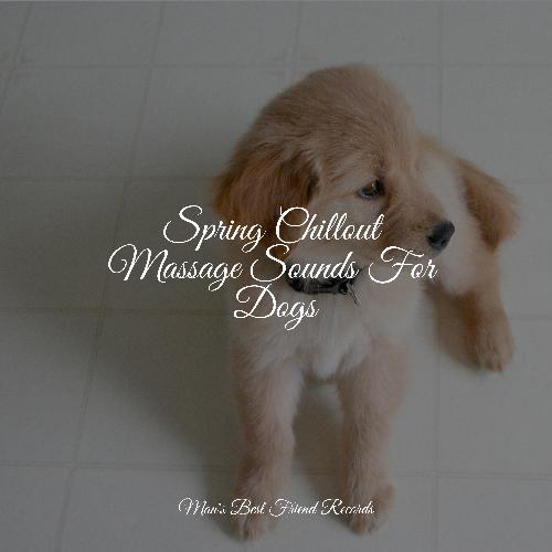 Spring Chillout Massage Sounds For Dogs