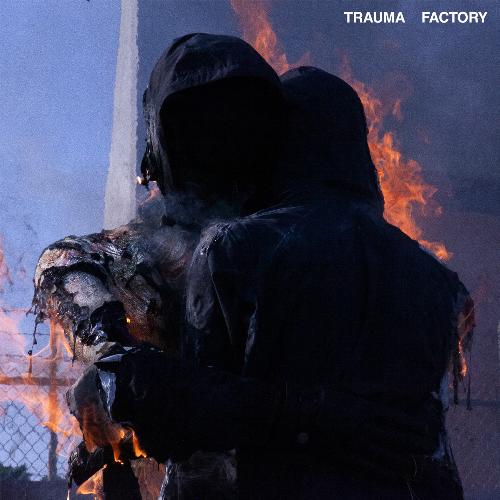 Trauma Factory_poster_image