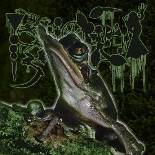 Fundamentals Of The Duck-Billed Invagination Of The Proctodeum