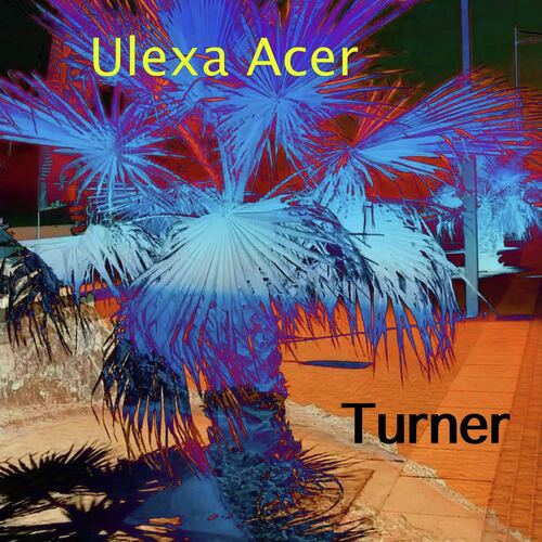Turner (Club Mix) cover art