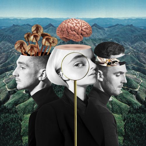 Rockabye (feat. Sean Paul & Anne-Marie) cover art