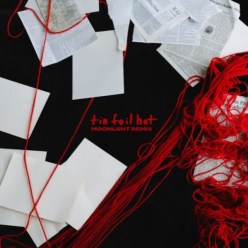 tin foil hat (MOONLGHT Remix) cover art