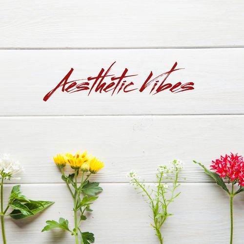 Aesthetic Vibes cover art