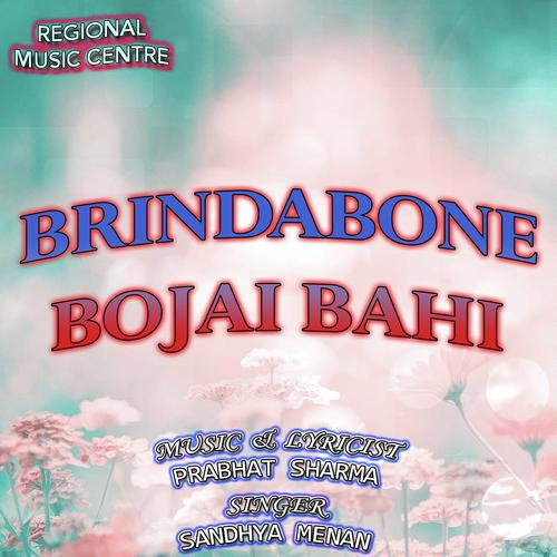 Brindabone Bojay Bahi