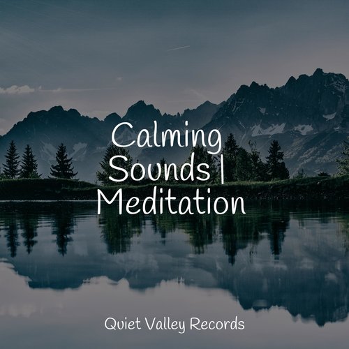 Focused, Relaxed cover art