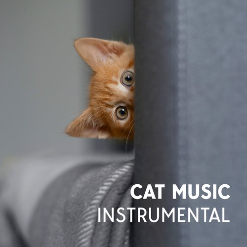 Cat Music Therapy cover art