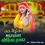 Chhath Maiya Bhardena Godiya Hamar