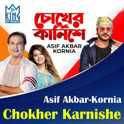 Chokher Karnishe