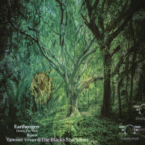 Down The Well Remixe