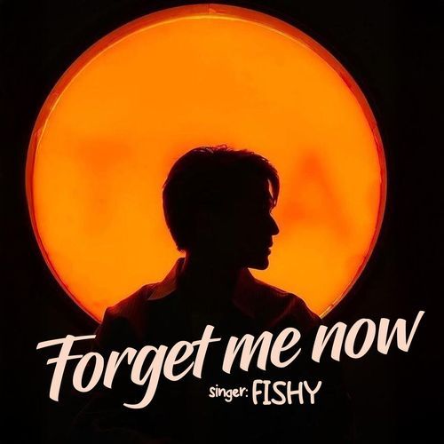 Forget Me Now (Lofi & Remix)