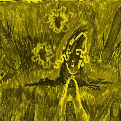 Godwit cover art