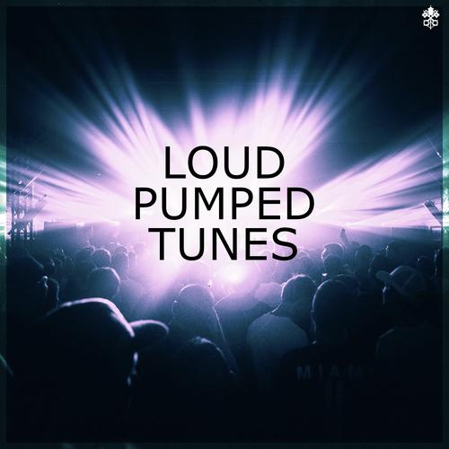Loud Pumped Tunes