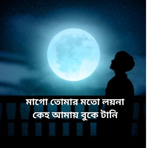 মাগো তোমার মতো লয়না কেহ আমায় বুকে টানি