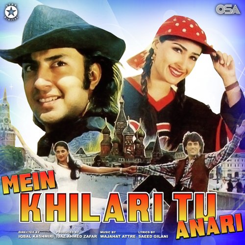 Mein Khilari Tu Anari_poster_image