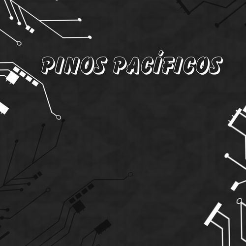 Relajación cover art