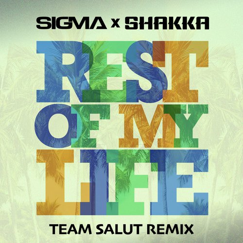 Rest Of My Life (Team Salut Remix)_poster_image