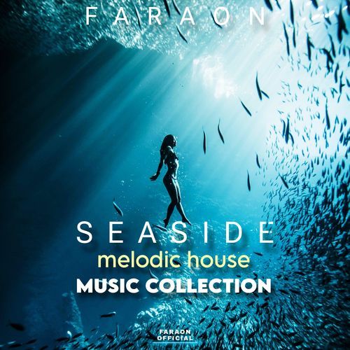 Montenegro cover art