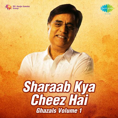 Sharaab Ghazals - Kya Cheez Hai
