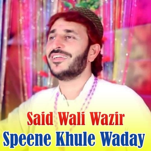 Speene Khule Waday_poster_image