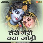 Teri meri Kya jodi (Hindi)