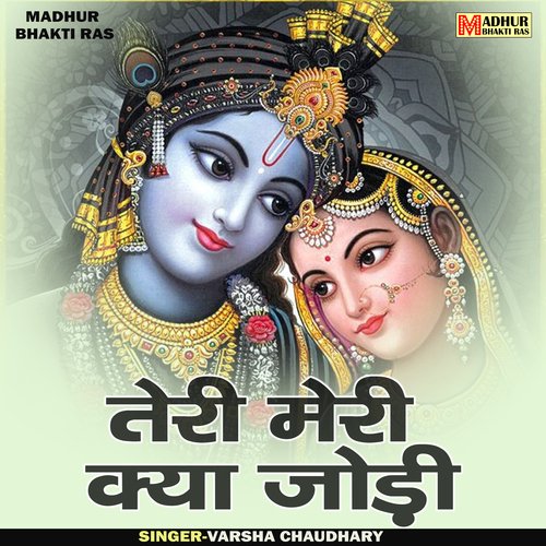 Teri meri Kya jodi (Hindi)