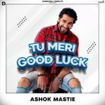 Tu Meri Good Luck artwork