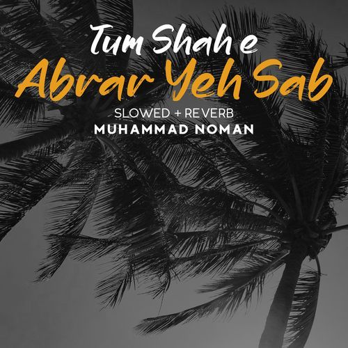 Tum Shah E Abrar Yeh Sab Lofi