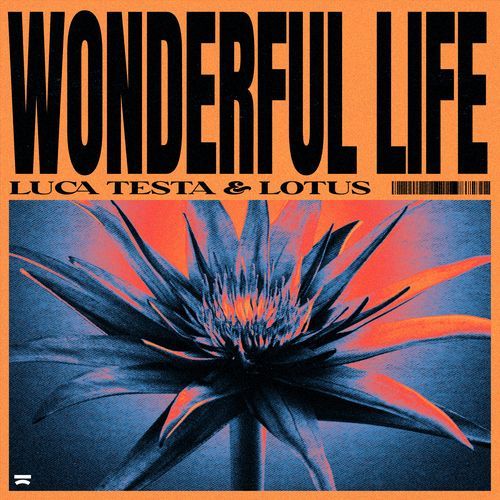 Wonderful Life_poster_image