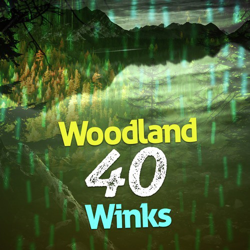 Woodland: 40 Winks