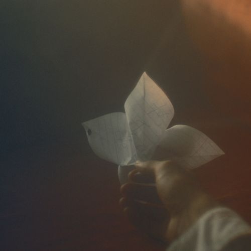 cartas