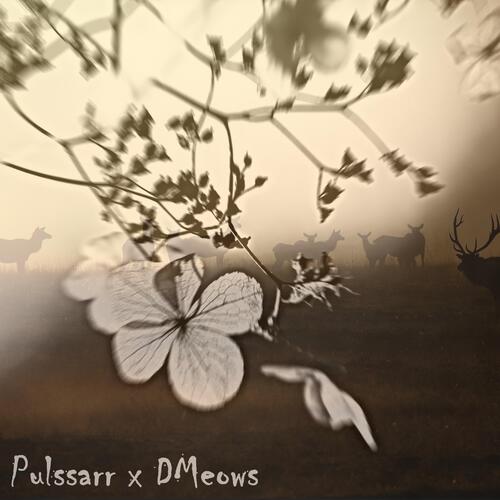 loss new year (with DMeows) cover art
