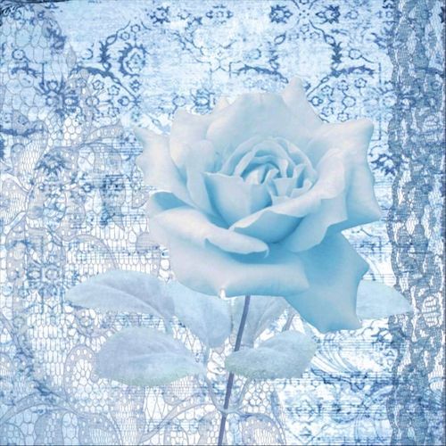 rose cover art