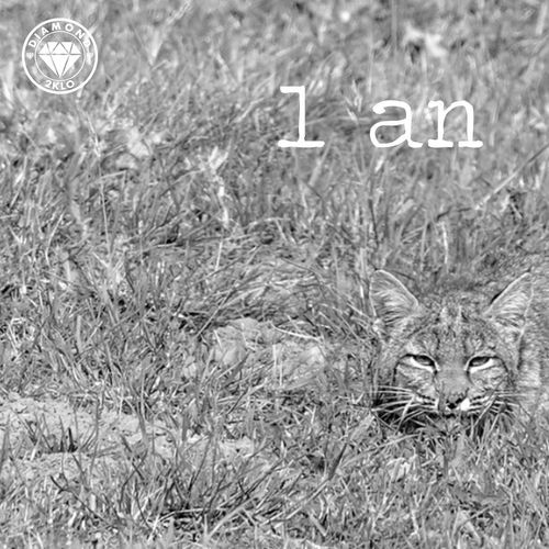 1 an cover art