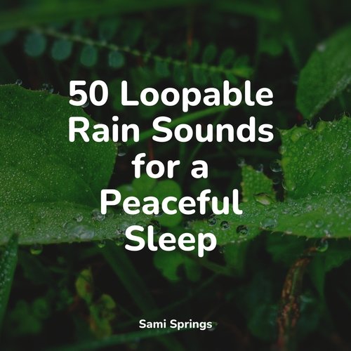 50 Loopable Rain Sounds for a Peaceful Sleep_poster_image