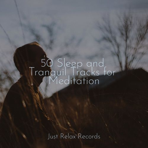 50 Sleep and Tranquil Tracks for Meditation_poster_image