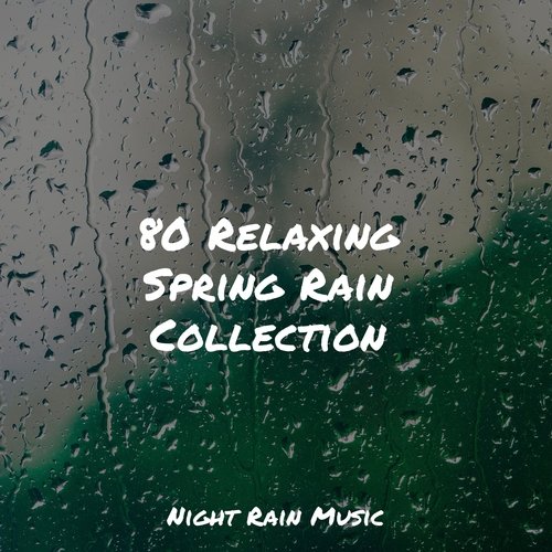 Rain, Storm and Thunder cover art