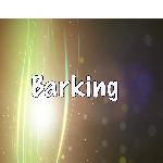 Barking (Tribute to Ramz)