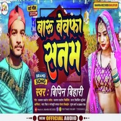 Baru Bewafa Sanam-ERAMSSQBT1k