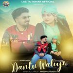 Dantu Waliye