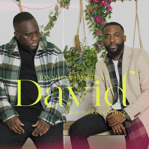 David cover art