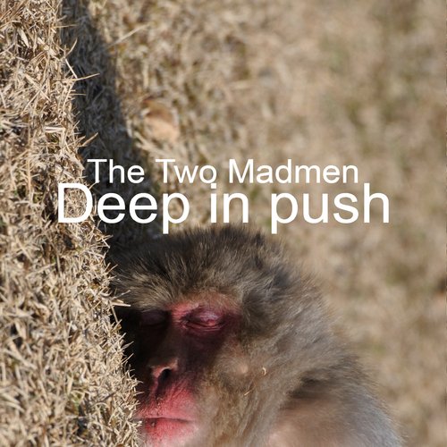 Deep in Push (Radio Version) cover art